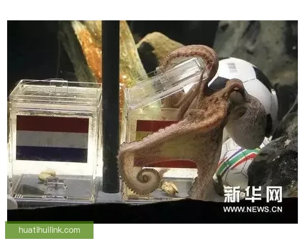 世界杯竞猜赛事预测数据模型战术分析与投注技巧实战攻略指南